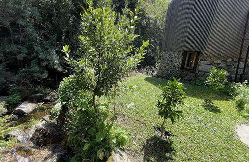 Baiao Cottage | Casa da Tintim