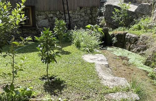 Baiao Cottage | Casa da Tintim