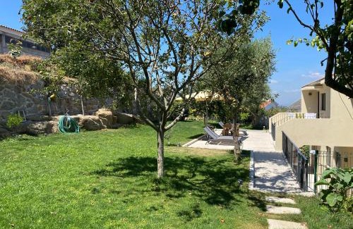 Cinfaes Apartment | Casa da Zéfinha - Villa, em Cinfães, no Douro