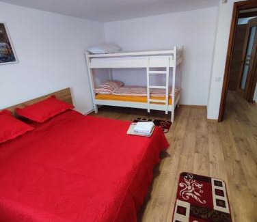Toplita House | Casa Daiana - Toplița