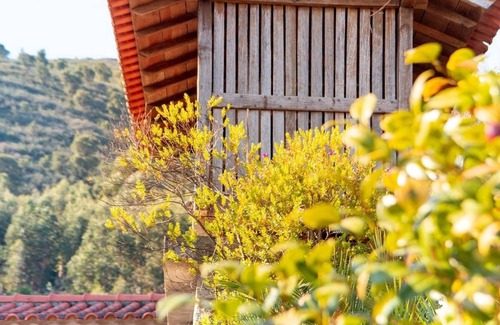 Barroselas House | Casa das Buganvílias Quinta da Fonte - Viana do Castelo