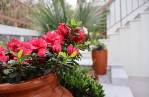 Canicada Bed & Breakfast | Casa Das Chães