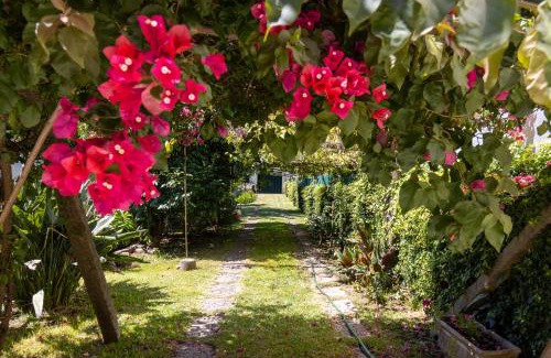 Avintes House | Casa das Heras Gaia Porto with hot tub