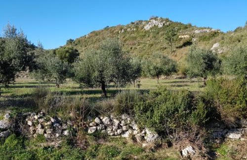 Alvados Villa | Casa Das Oliveiras
