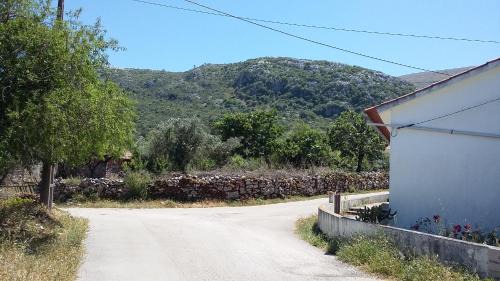 Alvados Villa | Casa Das Oliveiras