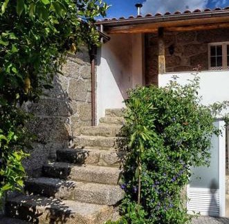 Molares House | Casa de Barreiros Camélias de Basto