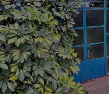 Yerba Buena Apartment | Casa de Huéspedes La Escondida