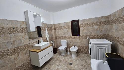 Daeni House | Casa de la Dunăre-Dăeni