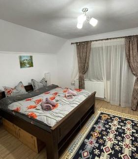 Cristian House | Casa de la râu