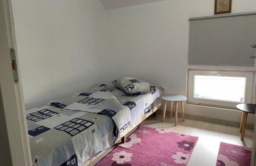 Sincraieni House | Casa de oaspeți Cristina