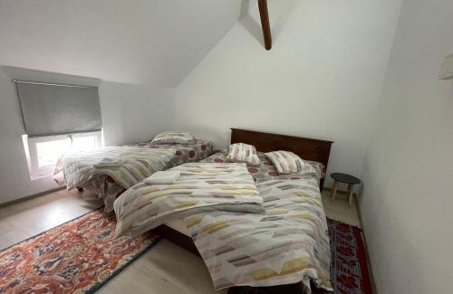 Sincraieni House | Casa de oaspeți Cristina