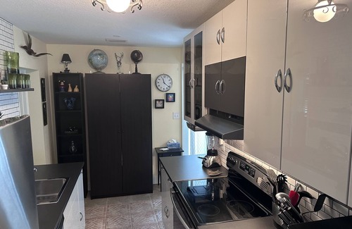 St. Petersburg - Clearwater Cottage | Casa de Roble Guest Suite Saltwater Pool