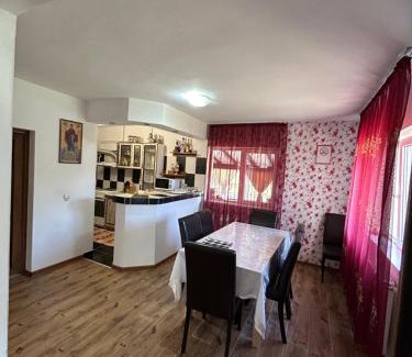 Viseu de Jos House | Casa de vacanță Fabian