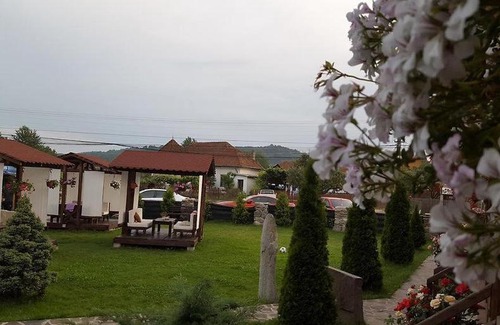 Albestii Paminteni House | Casa de vacanța Valea Argesului