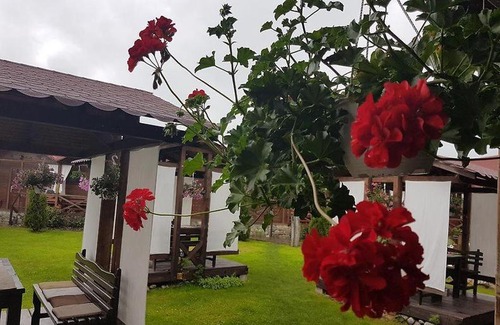 Albestii Paminteni House | Casa de vacanța Valea Argesului