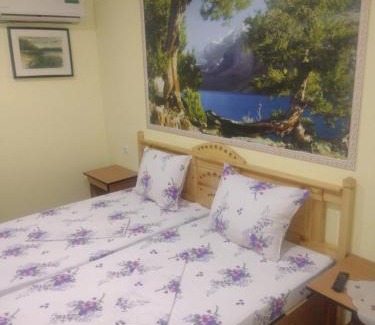 Sulina Bed & Breakfast | Casa de vacanta Puiu