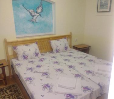 Sulina Bed & Breakfast | Casa de vacanta Puiu