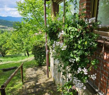 Camerana Apartment | Casa dei Ciliegi