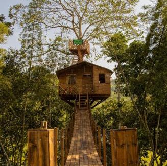La Pena Other | Casa del árbol Mirador Peñero