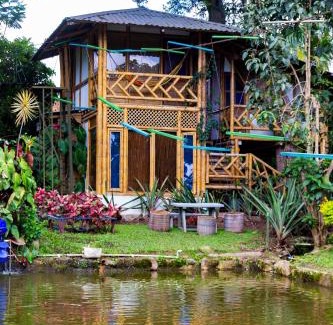 Chinauta Hotel | CASA DEL ÁRBOL, Romántico, Piscina, en Chinauta, el mejor clima