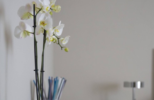 Prato House | CASA DEMI 'in the heart of Prato and 20 minutes from the center of Florence
