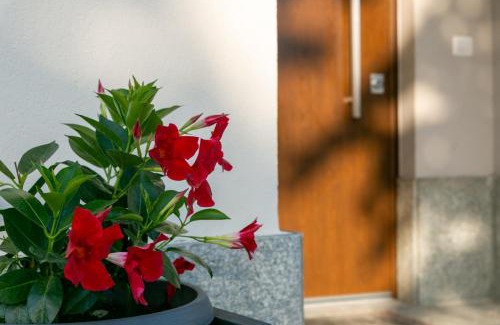 Diano d'Alba House | Casa di Dario