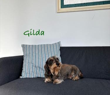 Ospedaletti Apartment | Casa di Gilda