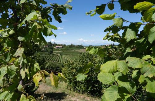 Costigliole d'Asti Villa | Casa di Mia Zia Bed & Wine - Villa Uve