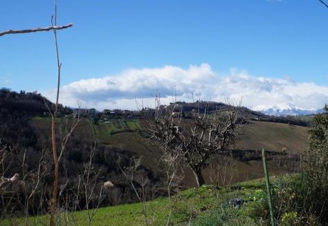 Montegiorgio House | Casa di Tony