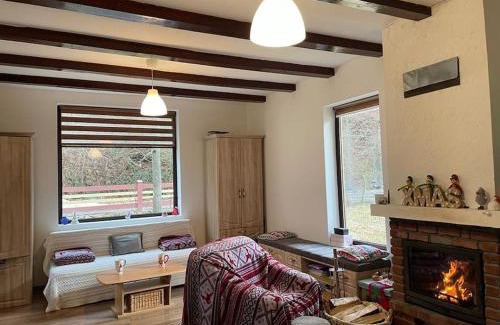 Banita House | Casa din Pădure