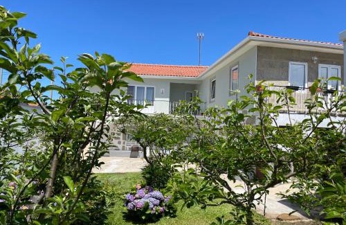 Viana do Castelo House | Casa do Albano