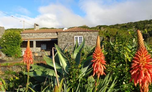 Lajes do Pico House | Casa do Bernardo