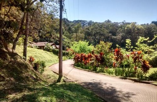 Centro House | Casa do Bosque