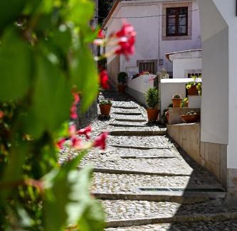 Sintra Apartment | Casa do Briamante 9