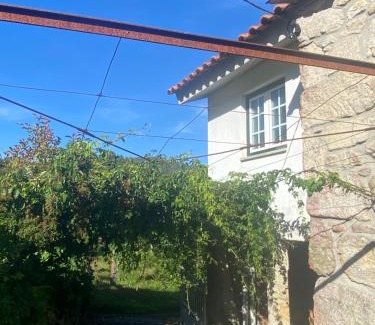 Vila Praia de Ancora House | Casa do Carqueijo