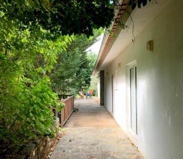 Vimioso House | Casa do Galo/Galo House