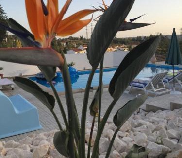 Sao Nicolau Bed & Breakfast | Casa do Loureiro Branco