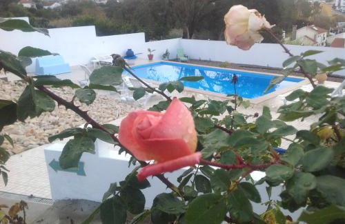 Sao Nicolau Bed & Breakfast | Casa do Loureiro Branco