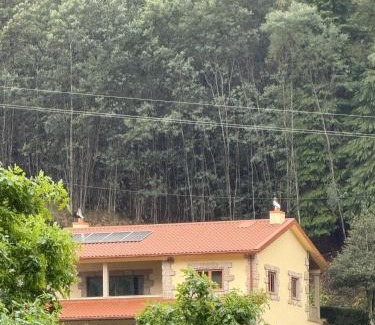 Geres House | Casa do Pedrógo
