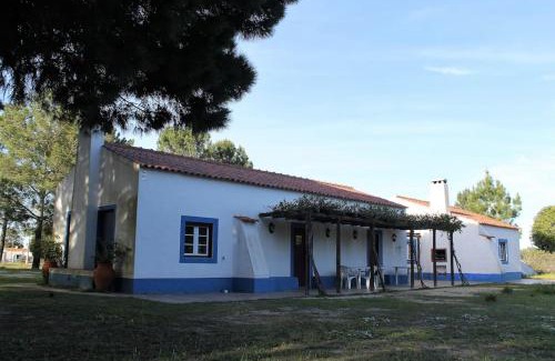 Alcacer do Sal House | Casa do Pinheiro