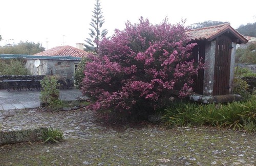 Afife House | Casa do Refilo