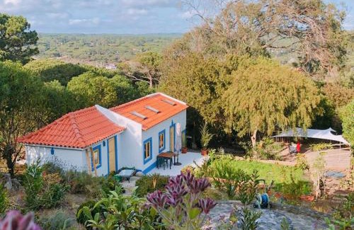 Colares House | Casa do Sol