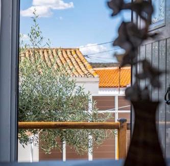 Reguengos de Monsaraz House | Casa do Tintejo