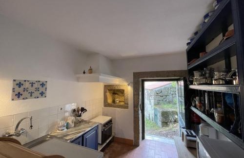 Sao Martinho de Mouros Ski Chalet | Casa do Vale - Douro Valley Cottage