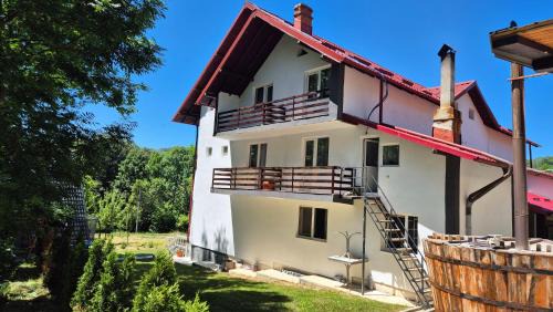 Oestii Paminteni House | Casa Dobrin