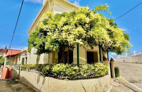 Esperion Villa | Casa Dolce with private plunge pool by DadoVillas