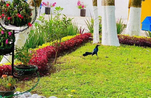 Xicotepec Apartment | CASA DON BENI (A PET-FRIENDLY SPACE IN THE HEART OF XICOTEPEC)