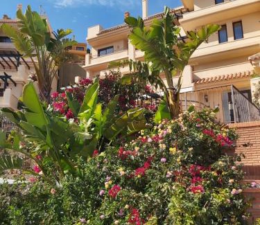 Aguilas Apartment | Casa Don Marco