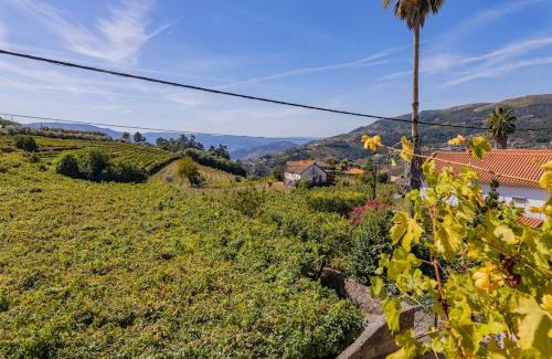 Peso da Regua House | Casa Dona Aninhas - Douro