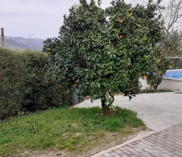 Vieira do Minho House | Casa dos Mirandas